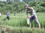 gemapatas-04.jpg
