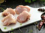 ilustrasi-daging-ayam.jpg
