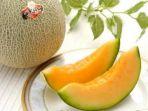ilustrasi-melon.jpg
