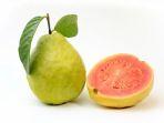 jambu-biji-111.jpg