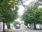 lampu-lalulintas-di-jl-gunung-sidole-palu-tertutup-dahan-pohon.jpg