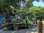 pemangkasan-ranting-pohon-di-bundaran-taman-nasional-kota-palu-diawasi-langsung.jpg