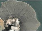 pvmbg-mengumumkan-aktivitas-gunung-anak-krakatau.jpg