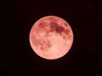 strawberry-full-moon.jpg