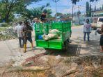 warga-temukan-ternak-sapi-mati-di-pinggir-jl-dewi-sartika.jpg
