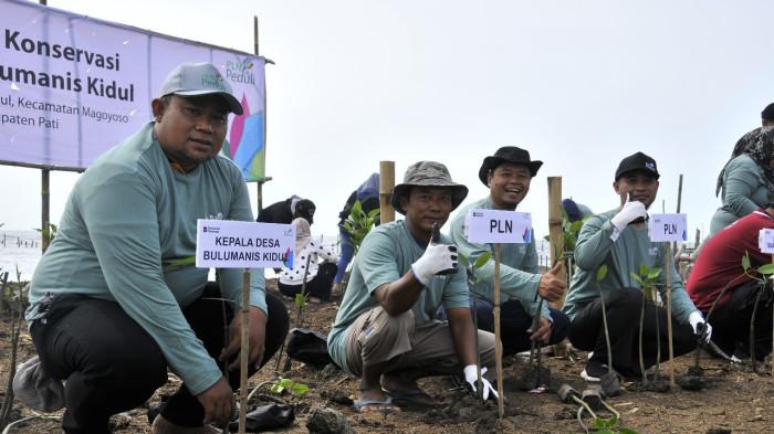 BIBIT POHON: PLN Unit Induk Pembangunan Jawa Bagian Tengah (PLN UIP JBT) menyerahkan bantuan program Tanggung Jawab Sosial dan Lingkungan (TJSL) berupa 1.900 bibit pohon kepada Desa Bulumanis Kidul, Kecamatan Margoyoso, Kabupaten Pati. Bantuan tersebut terdiri dari 1.500 bibit mangrove serta 400 bibit tabebuya dan cemara laut  yang akan dimanfaatkan untuk konservasi kawasan pantai. (Dok PLN)