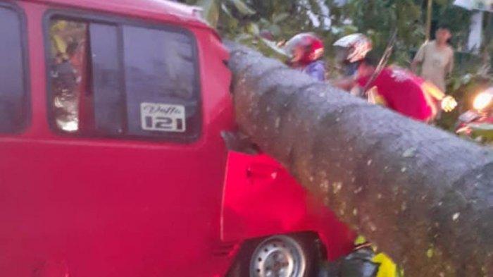 Pekalongan Dilanda Puting Beliung, Pohon Tumbang Timpa Angkot, Kapolres Ungkap Kondisi Sopir