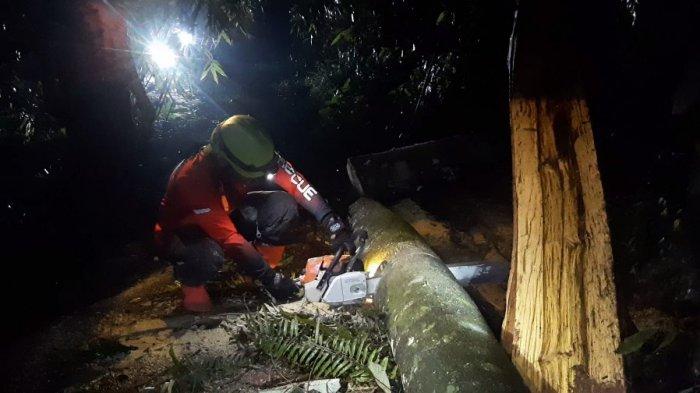 Pekalongan Hujan Deras, Belasan Pohon Tumbang dan Tanah Longsor, Jalan di Wilayah Ini Macet Total