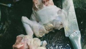 Daging-ayam-tak-layak-konsumsi.jpg