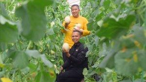 Panen-perdana-buah-melon-Lazismu-Tegal.jpg