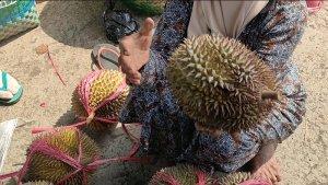 Pedagang-menjajakan-durian-di-exit-tol-Kandeman-Batang.jpg
