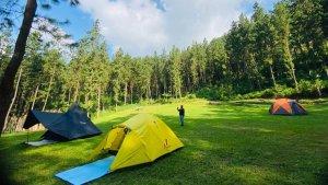 Rumah-Angsa-Glamping-Cafe-dan-Outbound.jpg