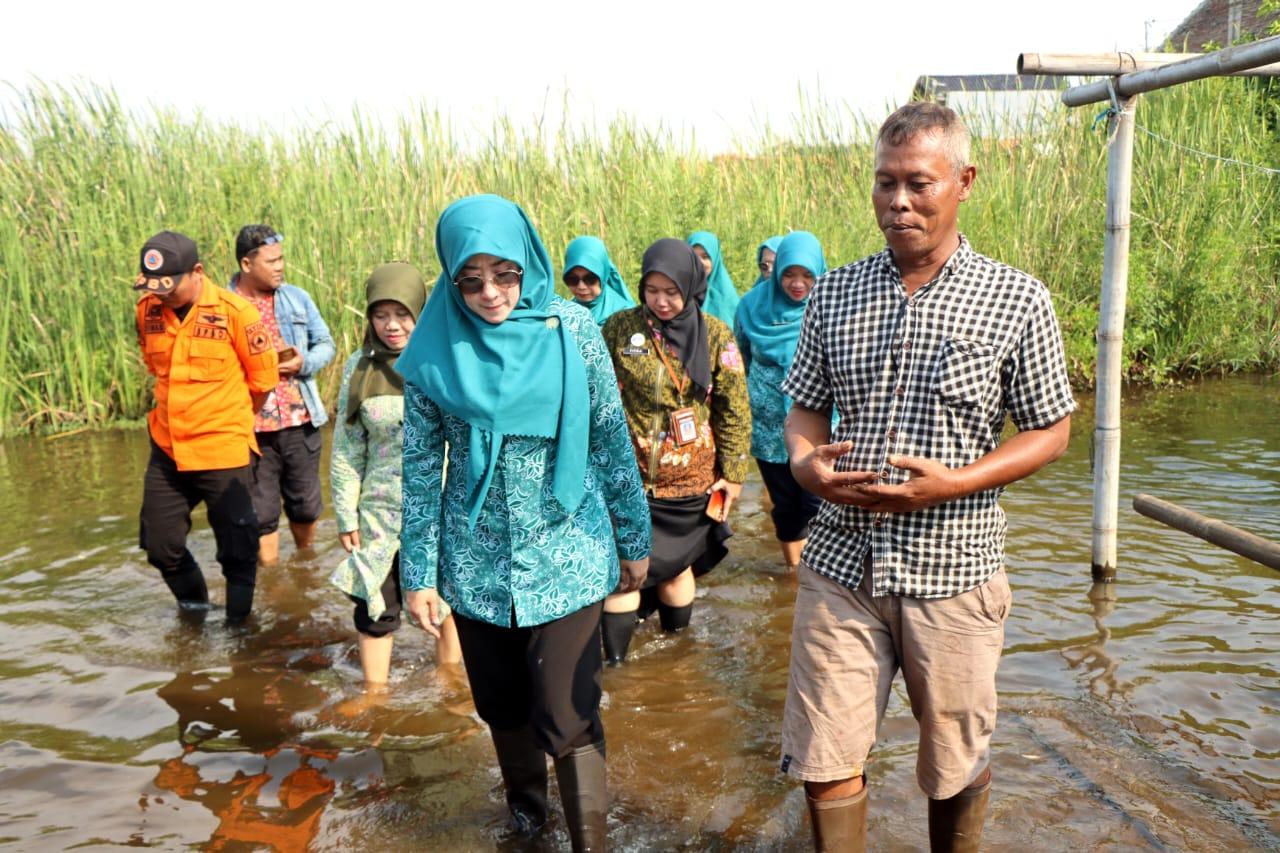 Inggit-Soraya-salurkan-bantuan-korban-banjir.jpg