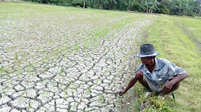Jelang Musim Kemarau, PDAM Kajen Pekalongan Data Ulang Lokasi yang Berpotensi Kekurangan Air