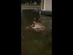 Berenang-tanpa-busana.jpg