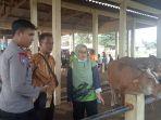 Dislutkanak-Batang-sidak-pasar-hewan.jpg