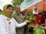 Festival-Buah-Nusantara.jpg