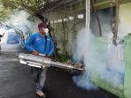 Fogging-di-Batang.jpg