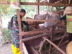 Pemkab Demak Pasang Eartag untuk Kontrol Kesehatan Ternak