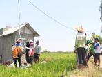 Pertanian-Modern-Berbasis-Listrik-Kian-Berkembang-Program-Electrifyingfds3red.jpg