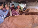Vaksinasi-PMK-di-Peternakan-Sapi-Getaspejaten-Kecam.jpg