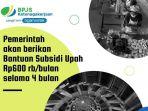 cara-mengecek-penerima-bantuan-rp-600-untuk-karyawan-swasta.jpg