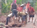 longsor-lebakbarang-pekalongan.jpg