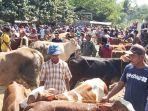 suasana-pasar-hewan-kajen-kabupaten-pekalongan-jawa-tengah-rabu-772021.jpg