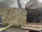 tangkapan-layar-dari-video-viral-dinosaurus-di-magetan.jpg
