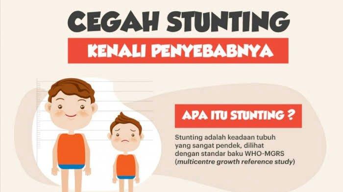 Hasil Studi Gizi Indonesia, Prevalensi Stunting di Kabupaten Jayapura Capai 20,24 Persen