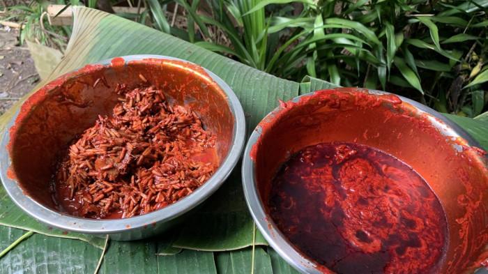 Buah merah khas Papua. (