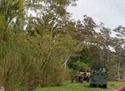 Warga Walelagama Jayawijaya Trauma Usai Kontak Tembak, TNI-Polri Diminta Tidak Memasuki Permukiman
