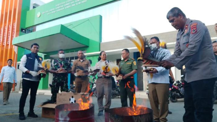 Balai Besar Konservasi Sumber Daya Alam (BBKSDA) Papua saat musnakan bagian satwa atau opset yang sudah mati sudah muaskana ddimusnahkan senin (20/10/2025).
