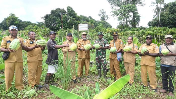 Bupati Biak Numfor Panen Perdana Semangka Hasil DD Kampung Sunde