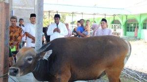 Bupati-Keerom-Serahkan-Sapi.jpg