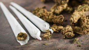 ILUSTRASI-GANJA-dijadikan-rokok.jpg