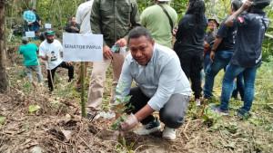 POHON-Senator-Papua-Carel-Simon-Suebu-melakukan-reses.jpg