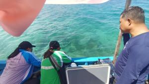 a-Niaga-Regional-Papua-Maluku-Fuel-ter.jpg