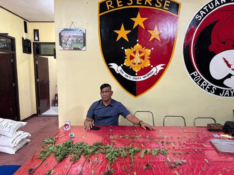 Oknum ASN di Wamena  Diduga Terlibat Produksi Miras dan Ganja, Polisi Sita Barbut