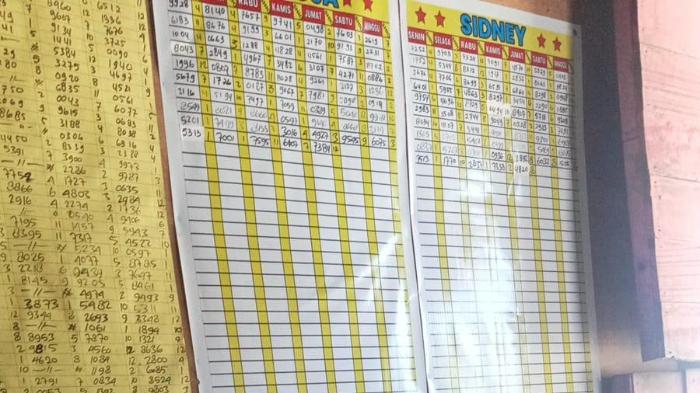 JUDI-TOGEL-Judi-togel-kembali-muncul-di-Nabire-Papua-Tengah.jpg