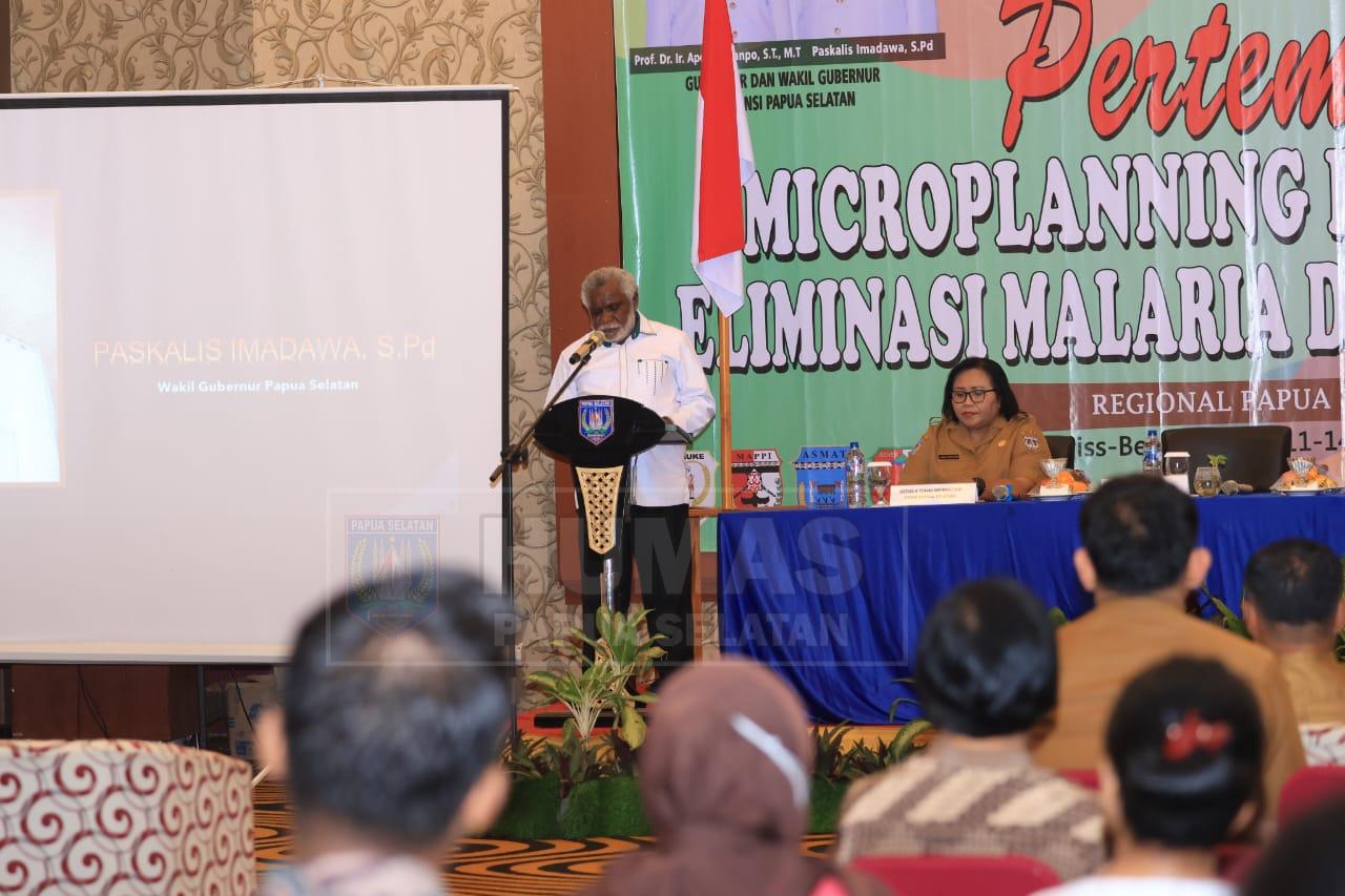MALARIA-Wagub-Papua-Selatan-Paskalis-Imadaw.jpg