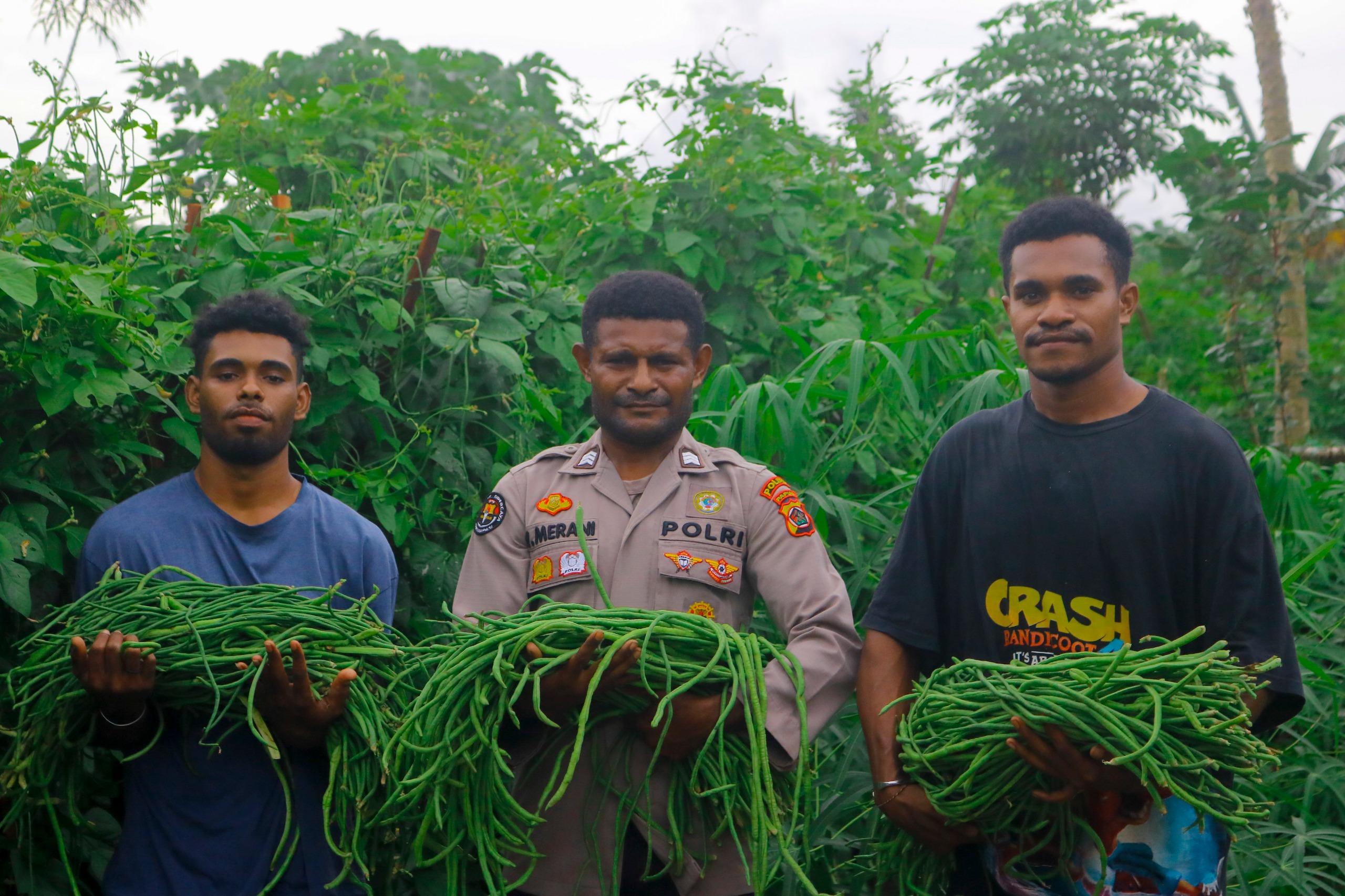 Polisi-Panen-Kacang-Panjang.jpg