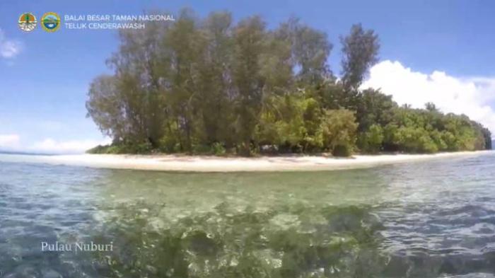 Wisata Papua: Cantiknya Pulau Nuburi di Nabire