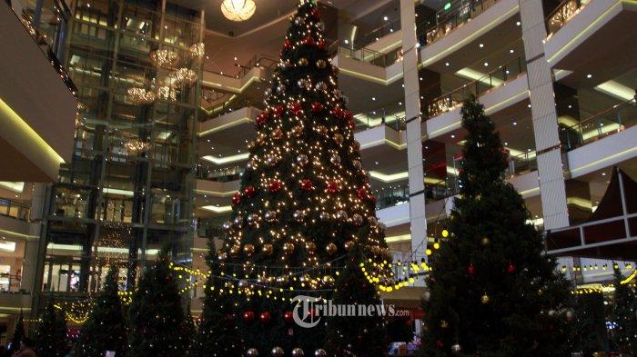 Pohon Natal Identik dengan Pohon Cemara, Ini Sejarah di Baliknya