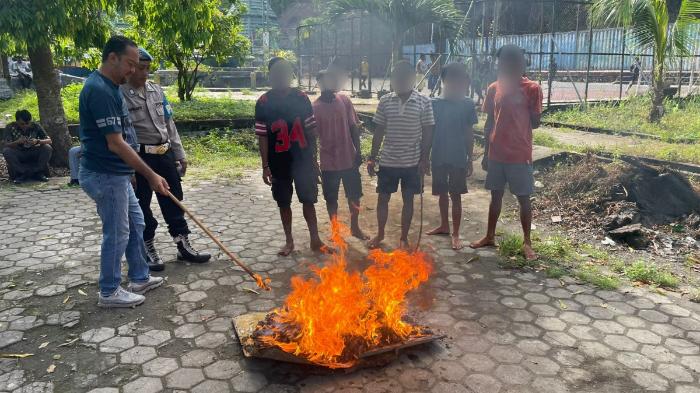 Satuan-Reserse-Narkoba-Polresta-Jayapura-Kota-memusnahkan-42-ganja-kering.jpg