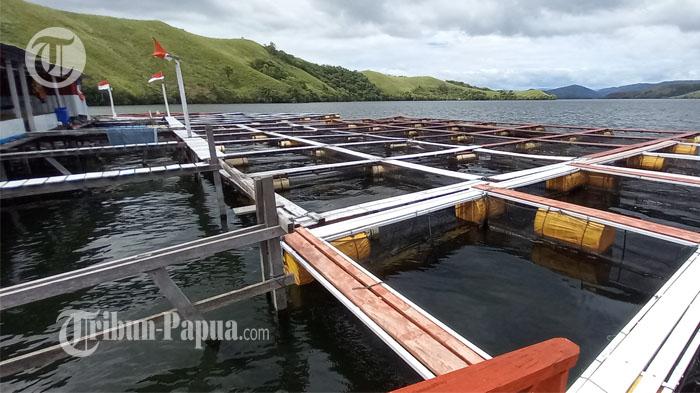 Tampak-Keramba-Jaring-Apung-di-Kampung-Doyo-lama-Distrik-Waibu.jpg