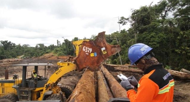 Tampat-tempat-operasi-kayu-PT-Jati-Darma-Indah-Plywood-Industries-di-Nabire.jpg
