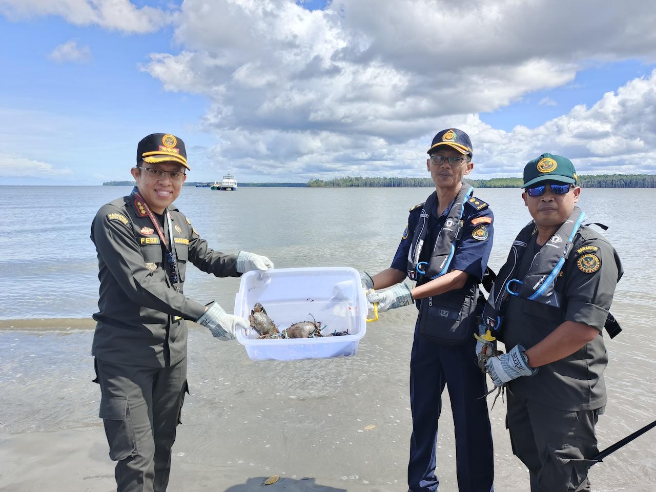 Balai Karantina Hewan, Ikan dan Tumbuhan Mimika Dukung PTFI Restocking Ikan Baramundi dan Kepiting