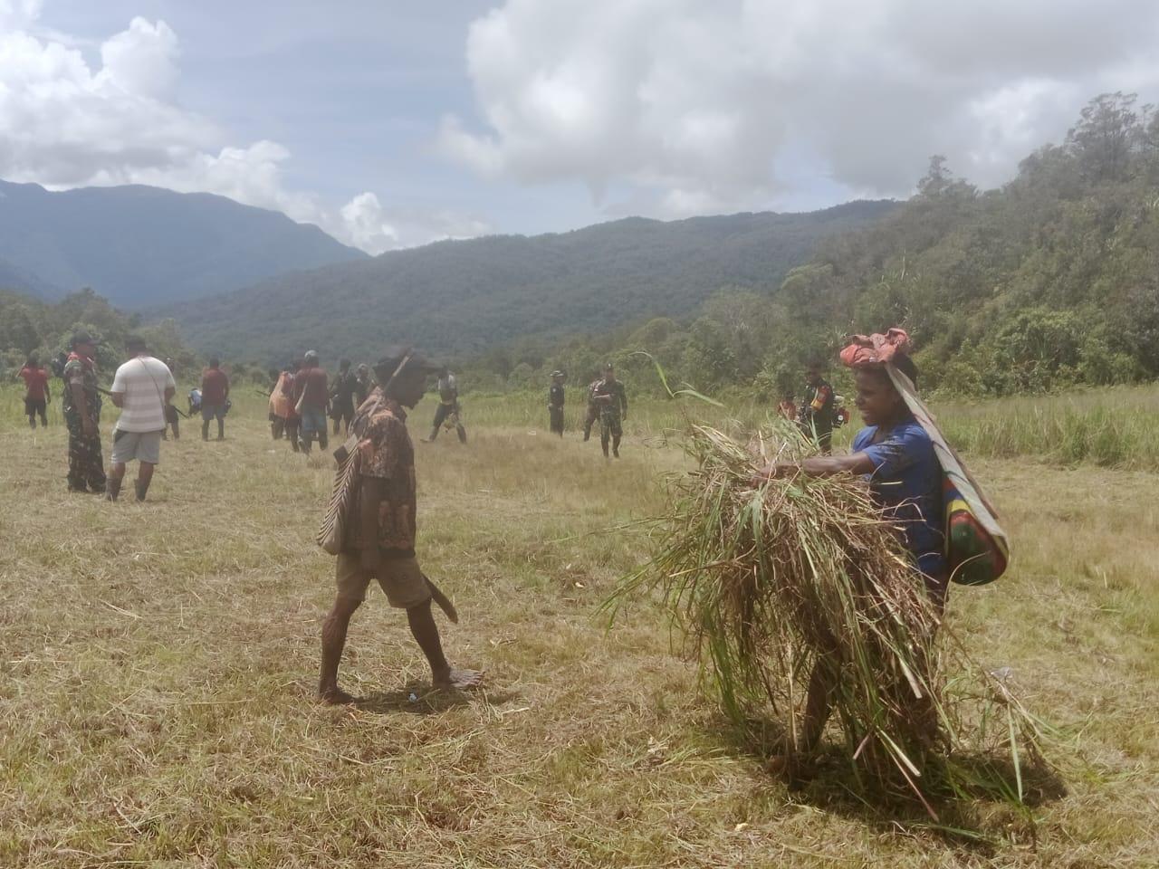 2 Tahun Tak Ada Penerbangan Subsidi di Pegunungan, Warga Ancam Datangi Kantor Dishub Mimika