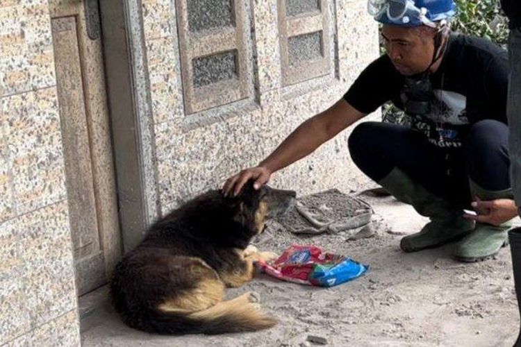 anggota-animals-hope-shelter-saat-mengevakuasi-anjing-nemo.jpg